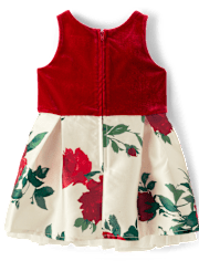 Baby And Toddler Girls Floral Velour Fit And Flare Dress