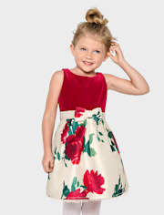 Baby And Toddler Girls Floral Velour Fit And Flare Dress