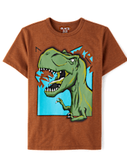 Boys Dino Graphic Tee