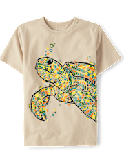Boys Turtle Graphic Tee