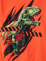 Boys Dino Graphic Tee