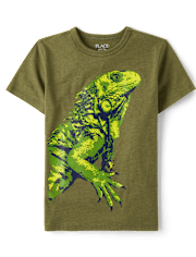 Boys Iguana Graphic Tee