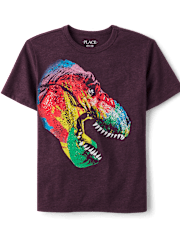 Boys Rainbow Dino Graphic Tee