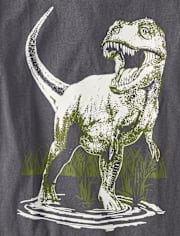 Boys Dino Graphic Tee