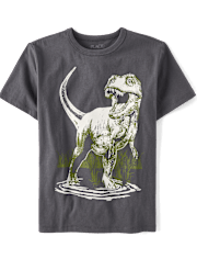 Boys Dino Graphic Tee