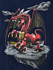 Boys Dragon Graphic Tee