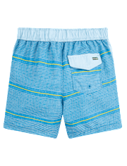 Toddler Boys Hurley Striped Boardshorts