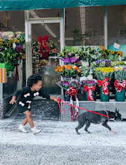 Baby And Toddler Girls Bow Sweater Dress