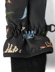 Toddler Boys Print Ski Mittens