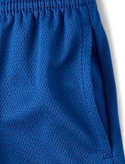 Baby And Toddler Boys Quick Dry Striped Mesh Lined Active Shorts