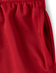 Baby And Toddler Boys Quick Dry Striped Mesh Lined Active Shorts