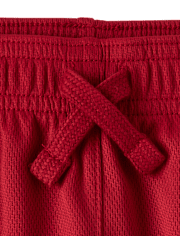 Baby And Toddler Boys Quick Dry Striped Mesh Lined Active Shorts