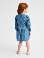 Baby And Toddler Girls Embroidered Floral Chambray Fit And Flare Dress
