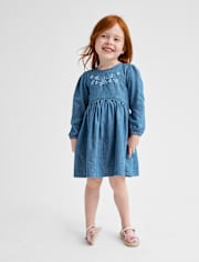 Baby And Toddler Girls Embroidered Floral Chambray Fit And Flare Dress