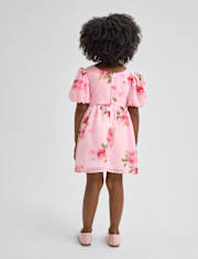 Toddler Girls Floral Chiffon Fit And Flare Dress
