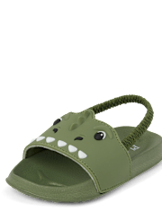 Toddler Boys Dino Slides