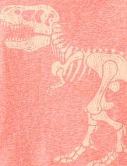 Baby And Toddler Boys Marled Dino Graphic Tee