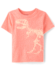 Baby And Toddler Boys Marled Dino Graphic Tee