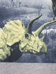 Boys Dino Graphic Tee