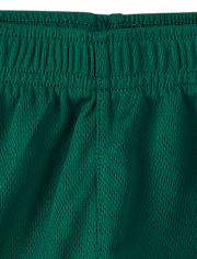 Baby And Toddler Boys Quick Dry Striped Lined Mesh Active Shorts