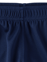 Baby And Toddler Boys Quick Dry Striped Lined Mesh Active Shorts