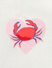 Baby Girls Coastal Bodysuit 5-Pack