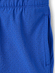 Boys Quick Dry Lined Mesh Active Shorts