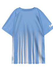 Toddler Boys FIFA World Cupâ¢ Argentina Jersey