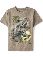 T-shirt graphique dinosaure pour garçon