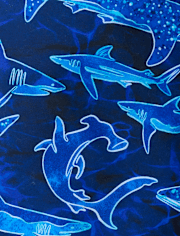 Boys Shark Rashguard Swimsuit