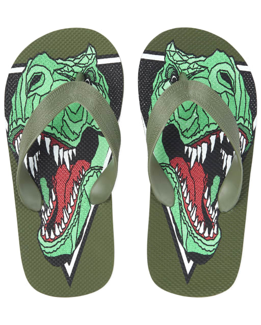 Children s Dinosaur unaltered Flip