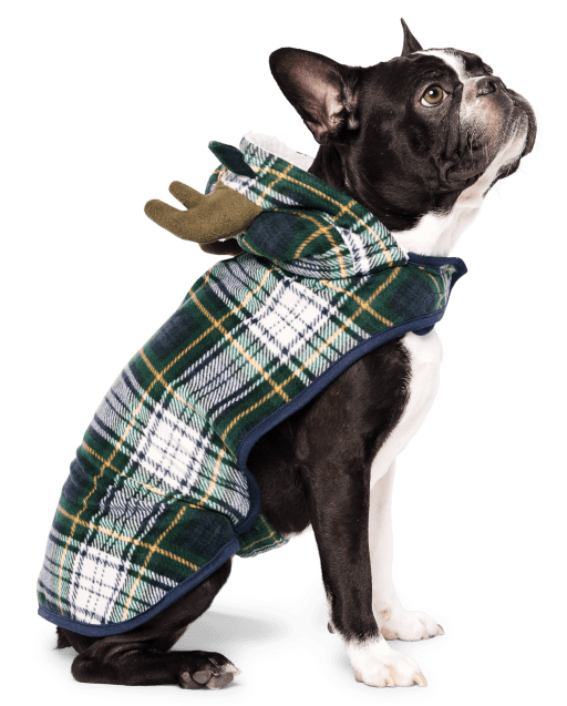 Loft dog pajamas hotsell