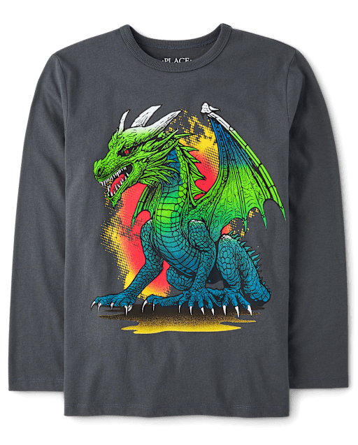Boys Long Sleeve Fire Dragon Graphic Tee - GRAY | The Children's Place