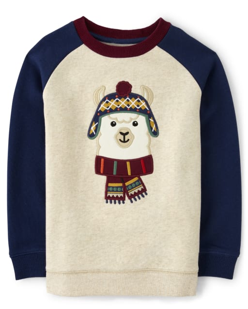 Boys Long Sleeve Embroidered Llama Sweatshirt - Little Llamas