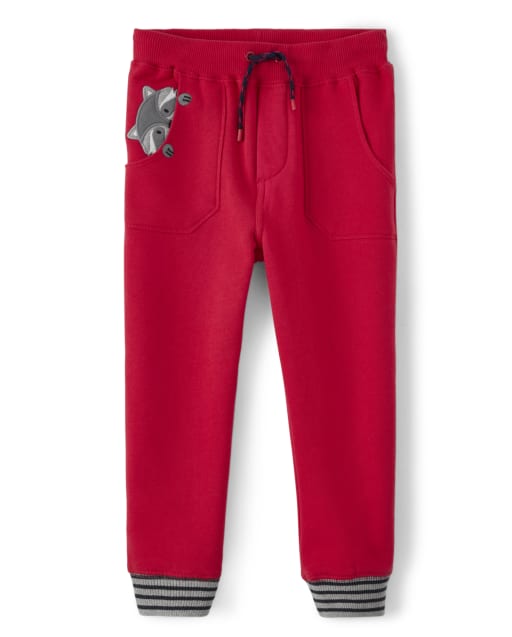Boys Embroidered Raccoon Pull On Jogger Pants - Head of the Class