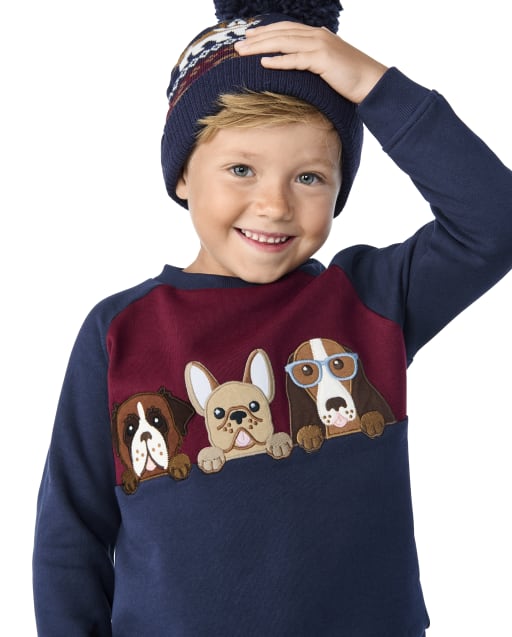 Boys Embroidered Dogs Colorblock Raglan Top - Playful Pups