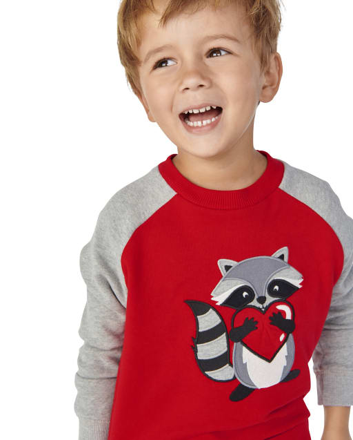 Boys Embroidered Raccoon Sweatshirt - Valentine Cutie - view 1