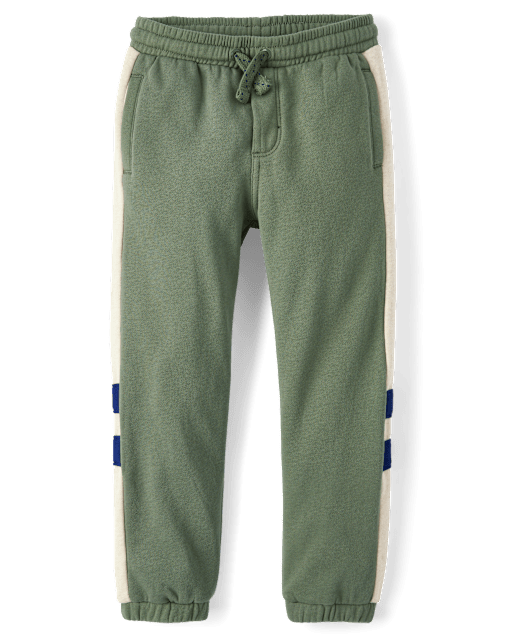 Boys Colorblock Fleece Jogger Pants - Dino Friends