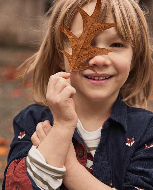 Boys Embroidered Fox Corduroy Button Up Shirt - Highland Hills