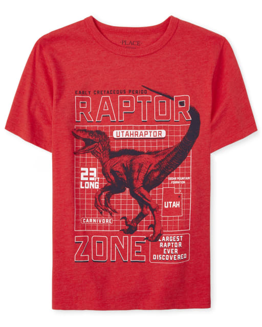 raptors graphic tee
