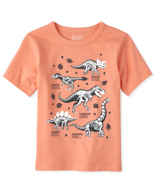 Baby And Toddler Boys Dino Graphic Tee
