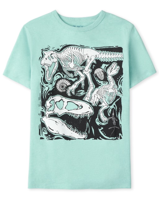 Boys Dino Graphic Tee