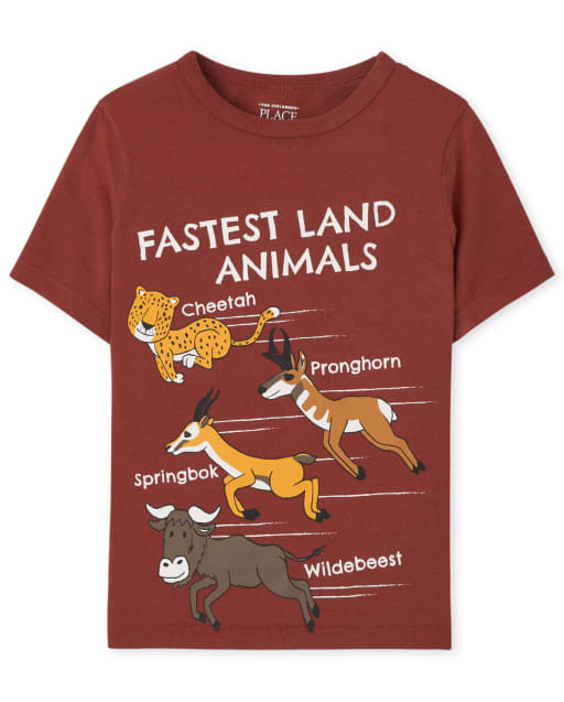 Camiseta con estampado de animales para niños pequeños
