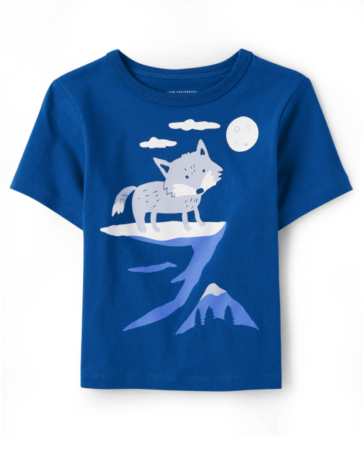 Baby and Toddler Boys Fox Graphic Tee