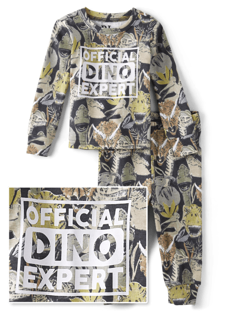 Baby And Toddler Boys Dino Expert Snug Fit Cotton Pajamas