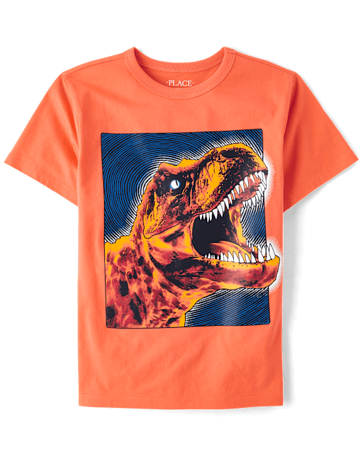 Boys Dino Graphic Tee