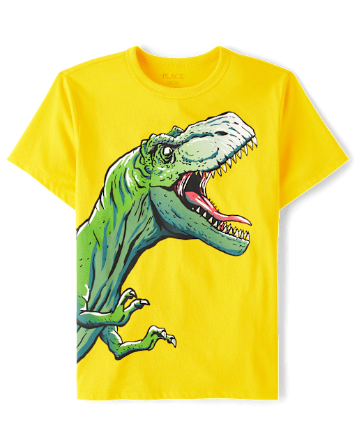Boys Dino Graphic Tee
