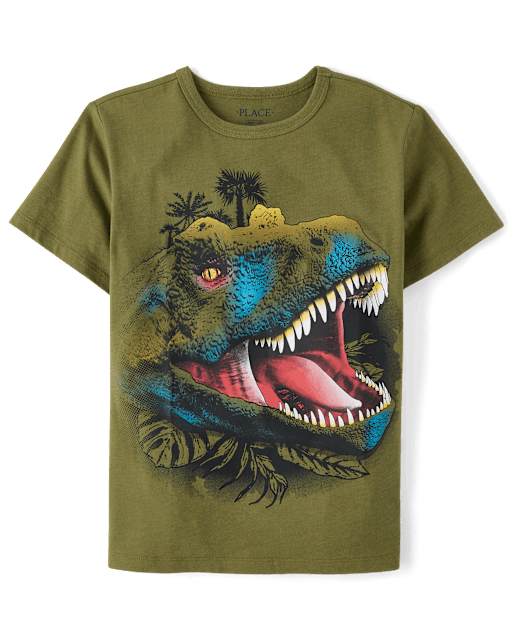 Boys Dino Graphic Tee
