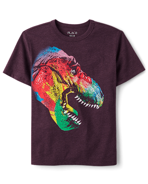 Boys Rainbow Dino Graphic Tee