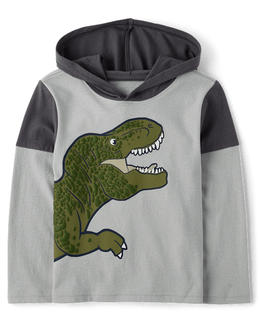 Baby And Toddler Boys Graphic Hooded Top